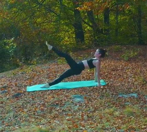 way_onlineakademie_pilatesyogilates_courselist_onlinekurse